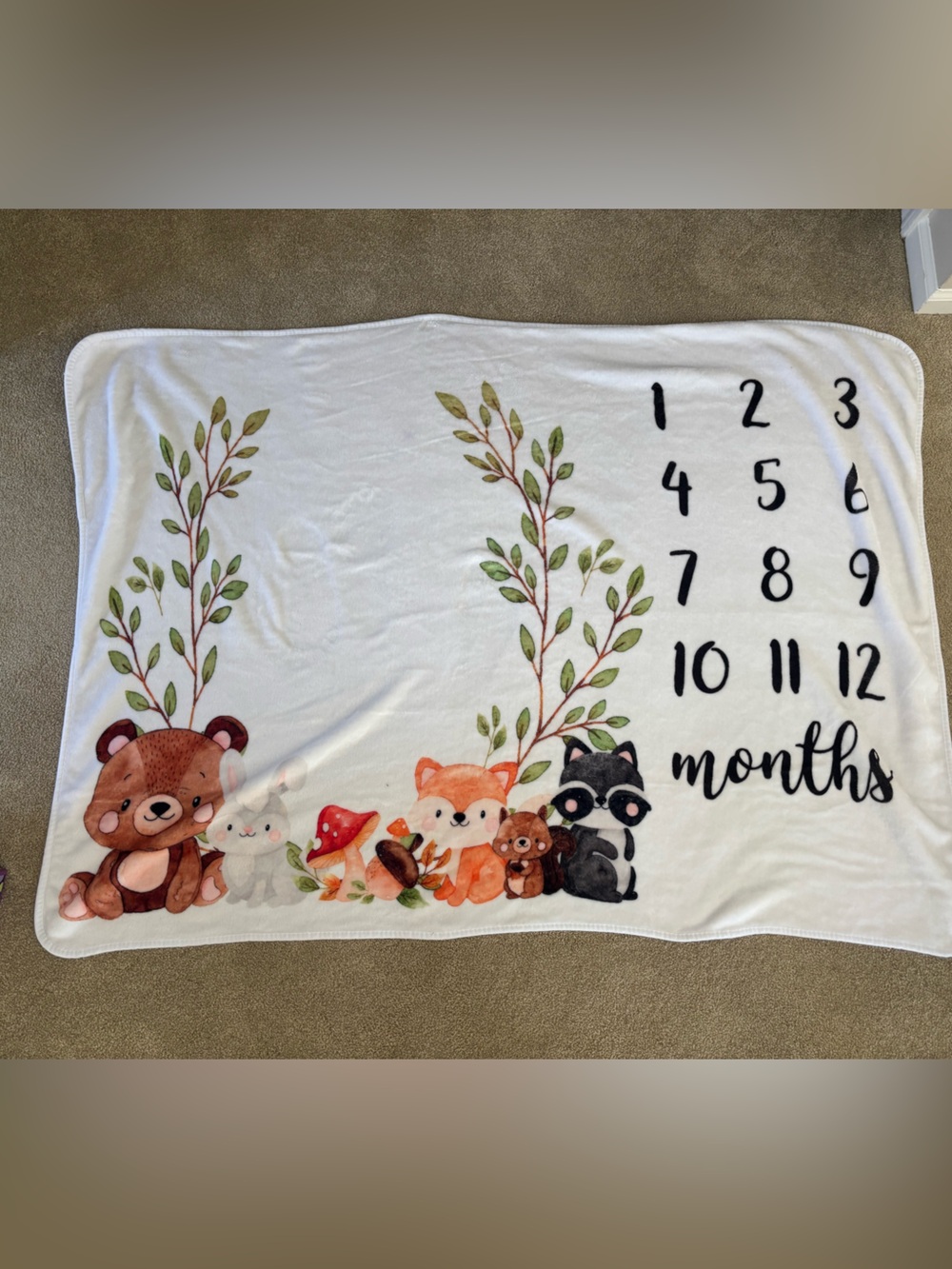 Woodland Animals Monthly Milestone Blanket - White with Brown & Green